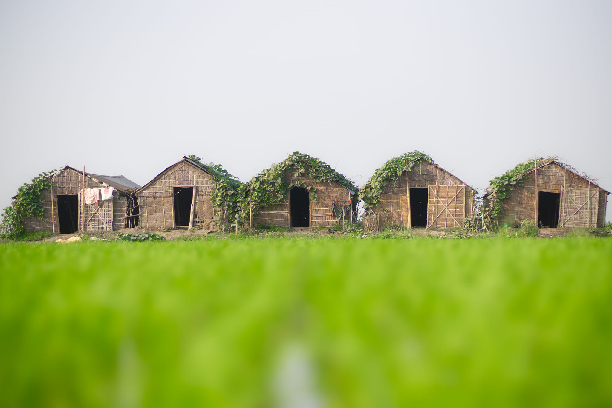 দেশ-দুনিয়া