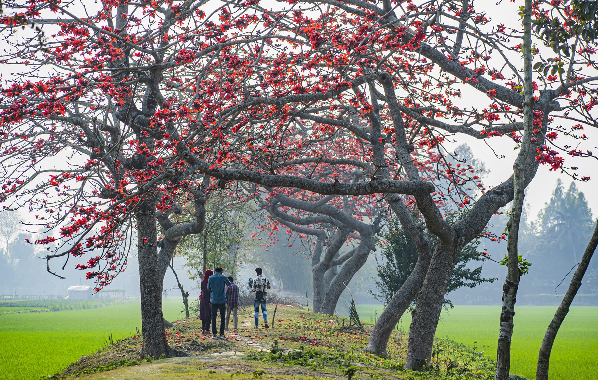 ০৫ মার্চ, ২০২৪