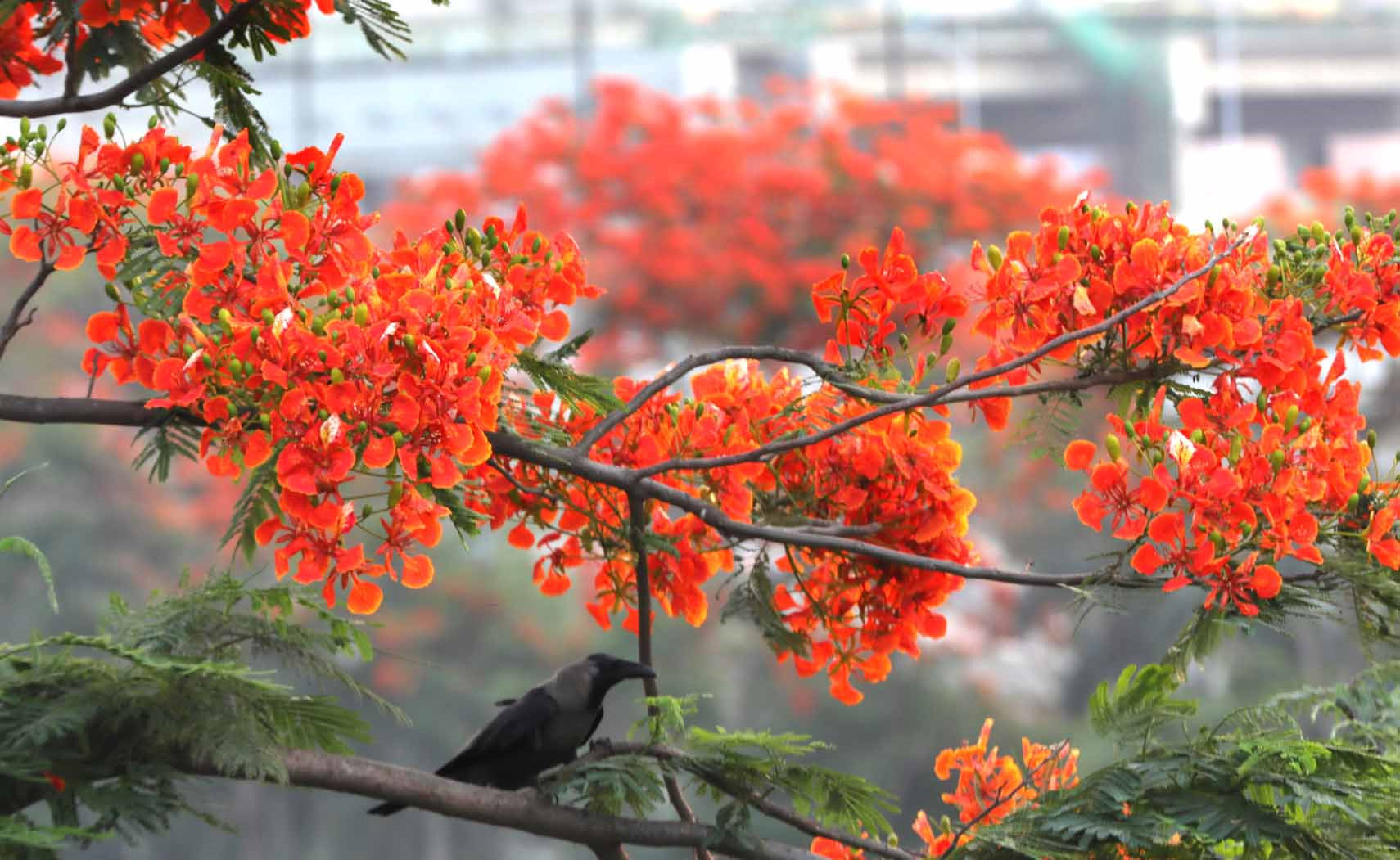 ২৯ এপ্রিল, ২০২৪