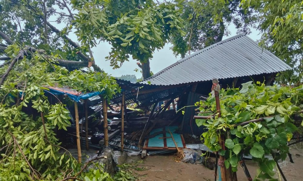 কালবৈশাখী ঝড়ে গাছ পড়ে জামালপুরে মা ও ২ মেয়ের মৃত্যু