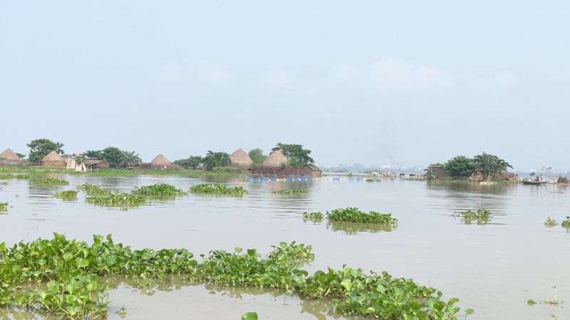 বিপদসীমার কাছাকাছি পদ্মার পানি, রাজশাহীর প্লাবিত চরাঞ্চল