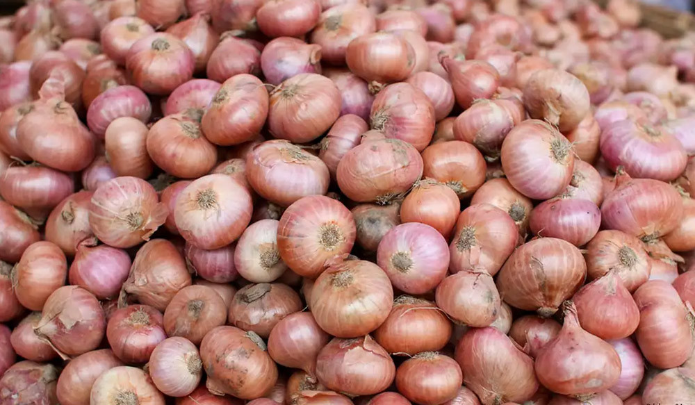 পেঁয়াজের দাম এক সপ্তাহেই ৫০ শতাংশ বেড়েছে