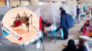দেশে ডেঙ্গুতে সংক্রমণ ছাড়াল ৫০ হাজার