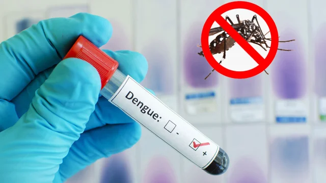 ডেঙ্গুতে আরও ৪ জনের মৃত্যু, হাসপাতালে ৯২০