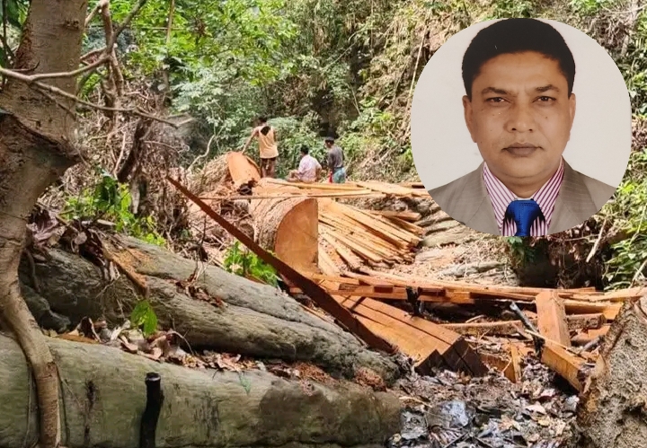 ‎‎ঘুষ ও মাসোহারায় বন উজাড়ের কারিগর ডিএফও মোস্তাফিজ