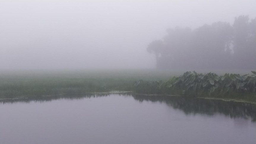 তেঁতুলিয়ায় বাড়ছে শীতের দাপট