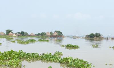 বিপদসীমার কাছাকাছি পদ্মার পানি, রাজশাহীর প্লাবিত চরাঞ্চল