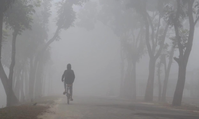 শীতে পঞ্চগড়ে বৃষ্টির মতো ঝরছে কুয়াশা