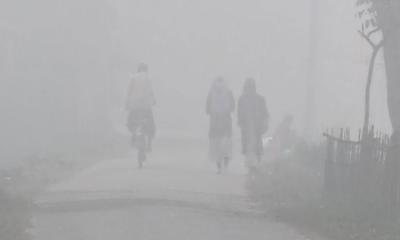 শীতের পারদ পঞ্চগড়ে স্থবির জনজীবন