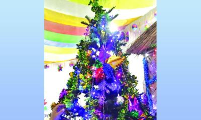 শুভ বড়দিন আজ:রাষ্ট্রপতি ও প্রধান উপদেষ্টার শুভেচ্ছা