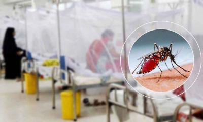 রাজধানীসহ বিভিন্ন এলাকায় আক্রান্ত ডেঙ্গু রোগীর ভিড়ে চাপে ঢাকা মেডিক্যাল