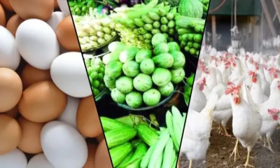 রাজধানীর বাজারগুলোতে নিত্যপণ্যের সাথে কমেছে ডিমের দাম,মাংস স্থিতিশীল