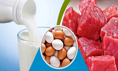 বাজারে ঈদের আগেই বাড়ল ডিম-মুরগিসহ নিত্যপণ্যের দাম