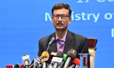 দেশে অন-অ্যারাইভাল ভিসা যে কারণে বন্ধ: পররাষ্ট্র উপদেষ্টা