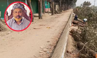 কিশোরগঞ্জে সরকারি গাছ চুরি মামলায় পদ স্থগিত হওয়া বিএনপি নেতা গ্রেপ্তার