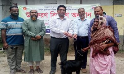 মনোহরদীতে ভিক্ষুক পুনর্বাসন ও বিকল্প কর্মসংস্থান কর্মসূচির আওতায় ছাগল বিতরণ