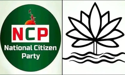 শাপলা কলি নয়, ফুল চায় এনসিপি