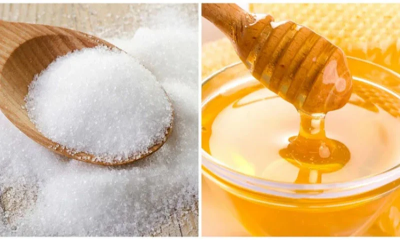 মধু নাকি চিনি খাওয়া ভালো?