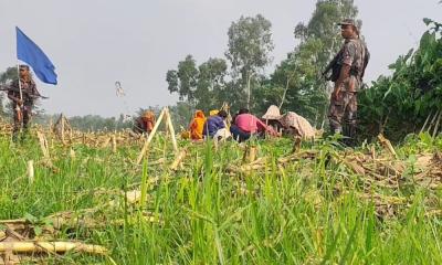 পুশইন নিয়ে শুভেন্দুর দাবি প্রত্যাখ্যান বিজিবির
