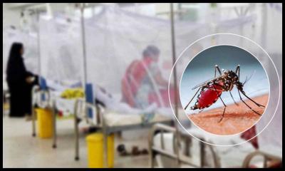 ডেঙ্গুতে একদিনে ৯ মৃত্যু, হাসপাতালে ভর্তি দেড় হাজারের বেশি