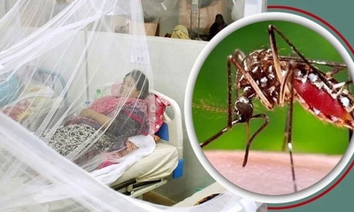 ডেঙ্গুতে চলতি বছরের ৮ মাসে মৃত্যু ১০০ ছাড়াল