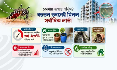 বাসা-বাড়ি ও বহুতল ভবনের ফাঁকে এডিসের বাসা: ফুলের টবেও ডেঙ্গু ঝুঁকি