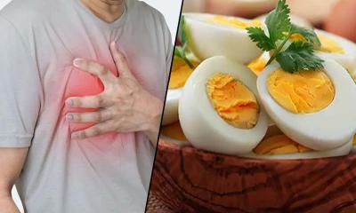 উপকারী ডিম কি হার্টের জন্য ক্ষতিকর? দিনে কয়টি ও কোন অংশ খাবেন, জানালেন চিকিৎসক