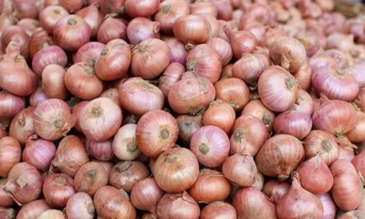 এবার পেঁয়াজ আমদানির অনুমতি দিচ্ছে সরকার
