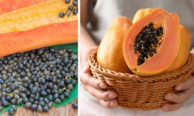 পেঁপে বীজ খাওয়ার আশ্চর্যজনক ৬ স্বাস্থ্য উপকারিতা