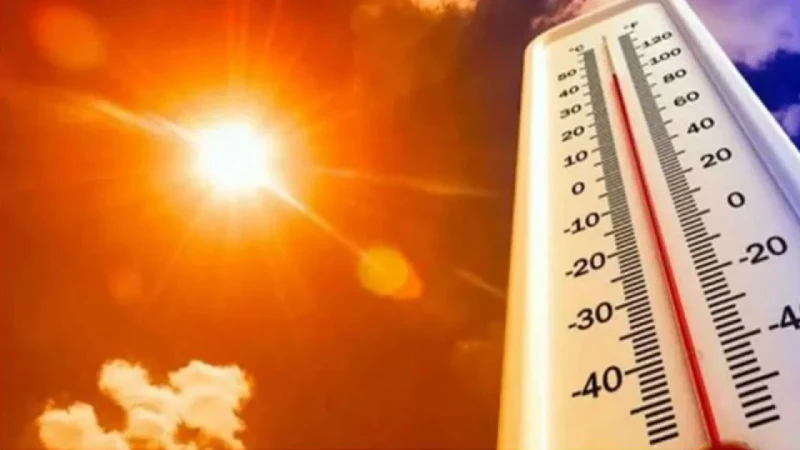 ফ্রান্সে ভয়াবহ তাপপ্রবাহে এবছরে ৭ হাজার ৩০৭ জনের মৃত্যু