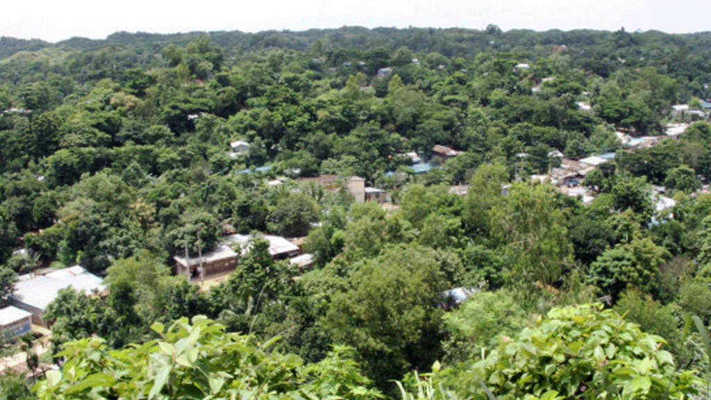 আইনশৃংখলার ৪ হাজার সদস্য নিয়ে এবার সলিমপুরে যৌথবাহিনীর অভিযান