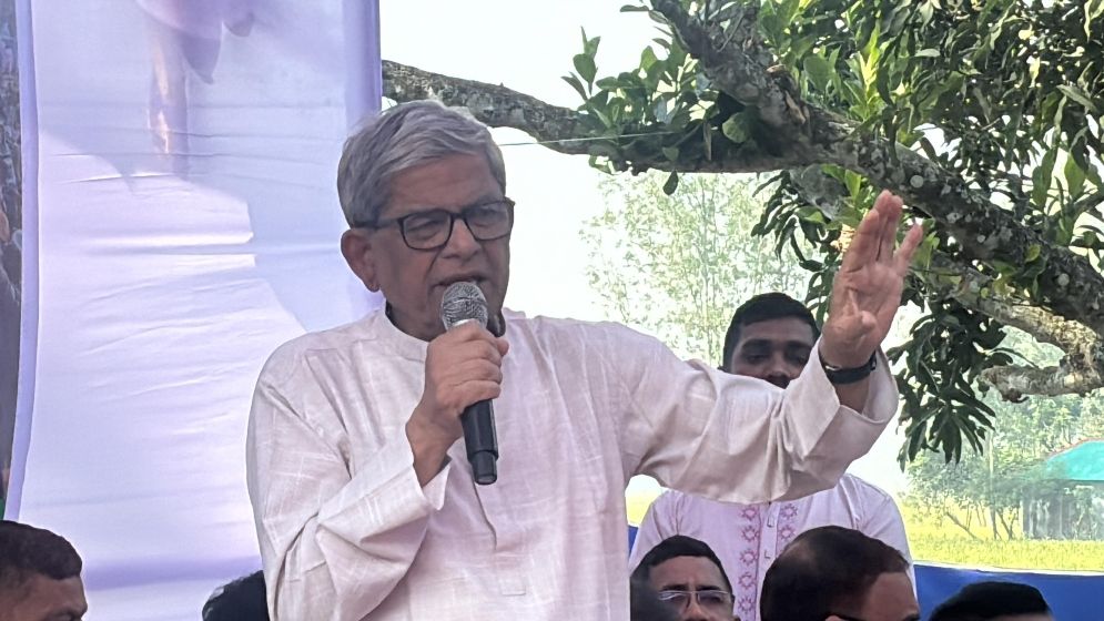 ঐকমত্যের বাইরে কিছু চাপিয়ে দিলে সব দায় সরকারকে নিতে হবে: মির্জা ফখরুল