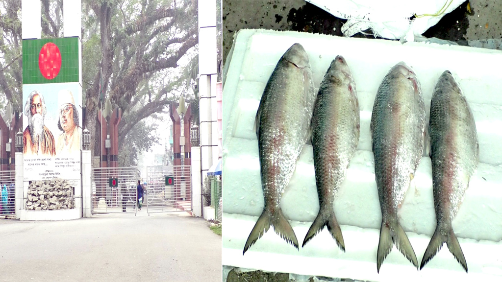 চুপিসারে ভারত থেকে ইলিশ আমদানি বন্ধ, ১০৩ অনাপত্তি সনদ বাতিল