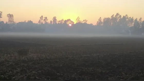 মৃদু শৈত্যপ্রবাহ তেঁতুলিয়ায়
